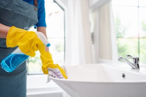 professional cleaners emmaus pa