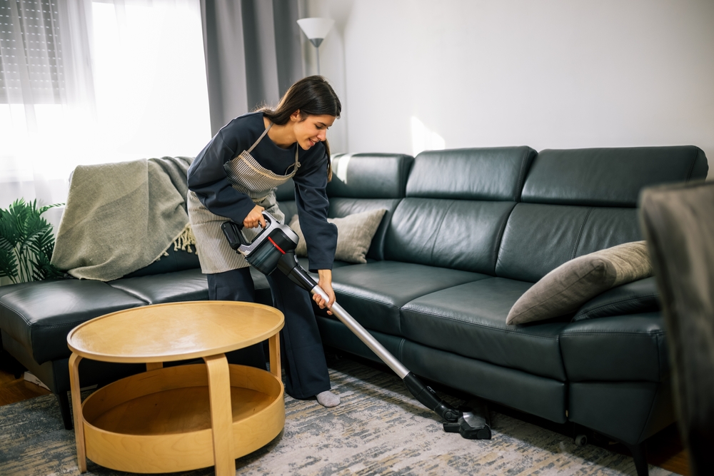 What should be cleaned monthly in your house