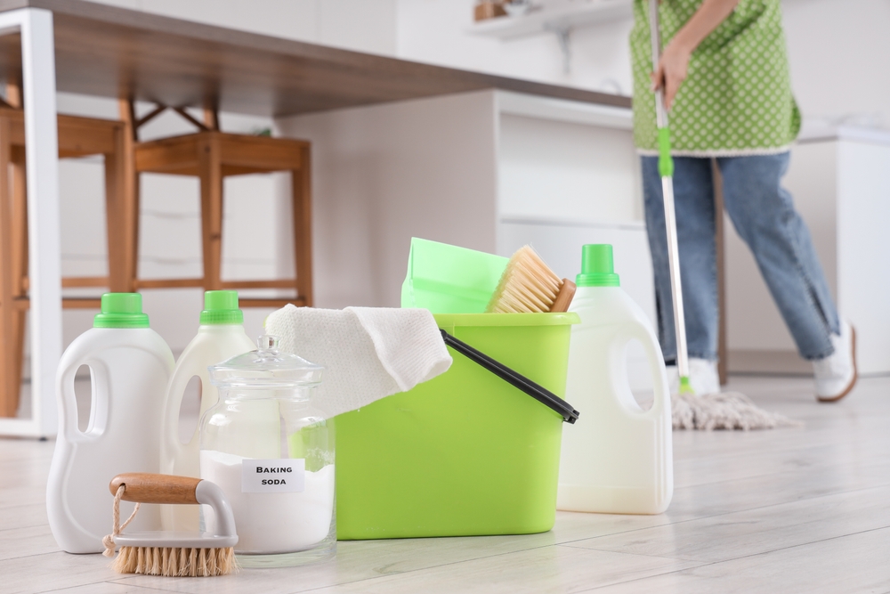 meticulous house cleaning services near me in Quakertown, PA